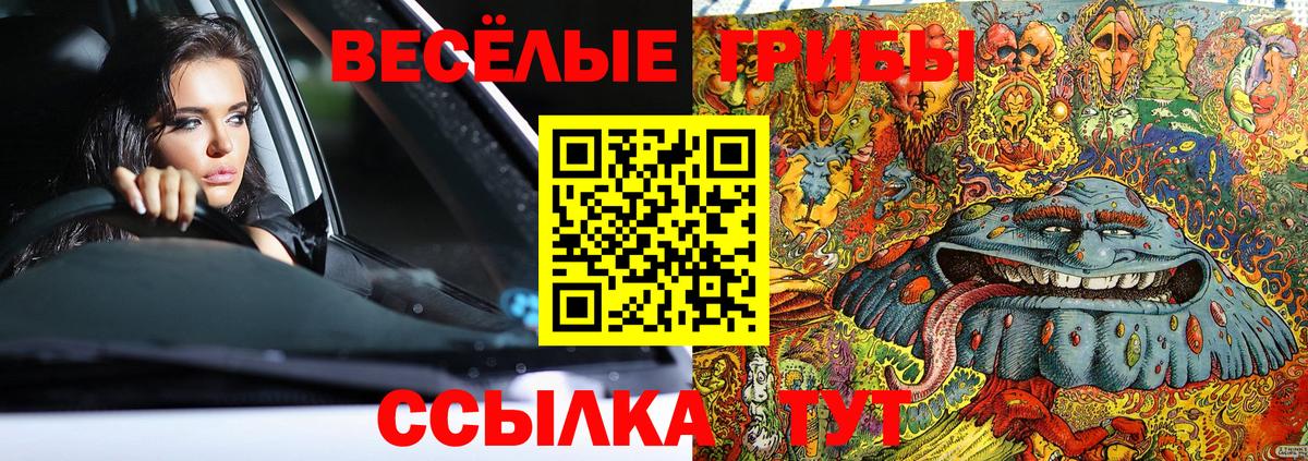 Псилоцибиновые грибы мицелий Красноармейск